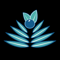 Palm Berries logo
