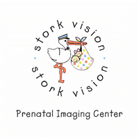 Stork Vision logo