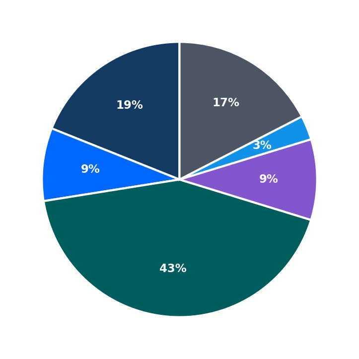 Maximum Investment Breakdown