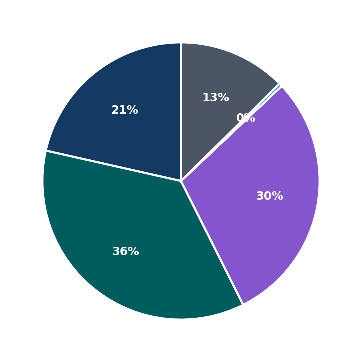 Maximum Investment Breakdown