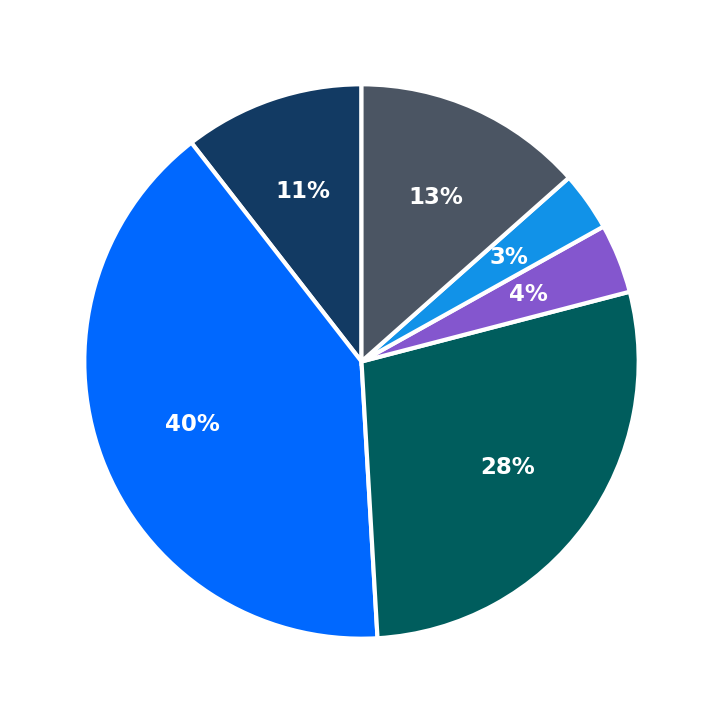 Maximum Investment Breakdown