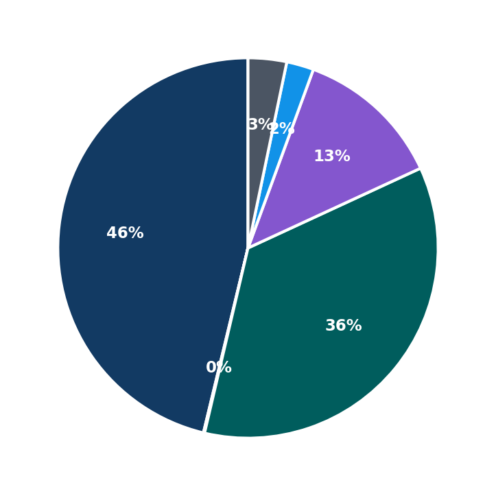 Maximum Investment Breakdown