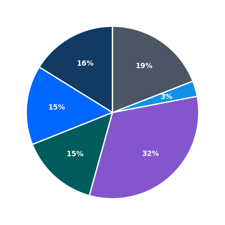 Maximum Investment Breakdown