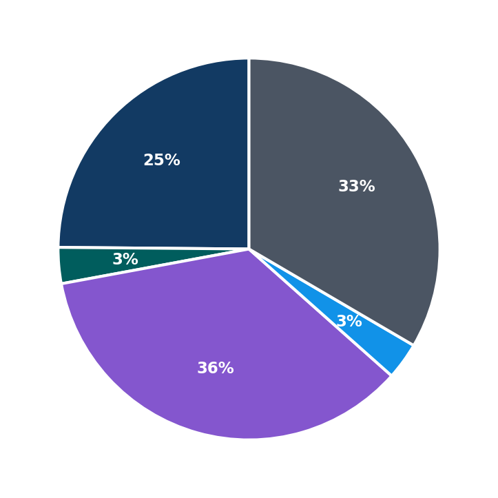 Maximum Investment Breakdown