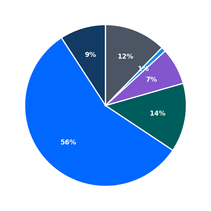 Maximum Investment Breakdown