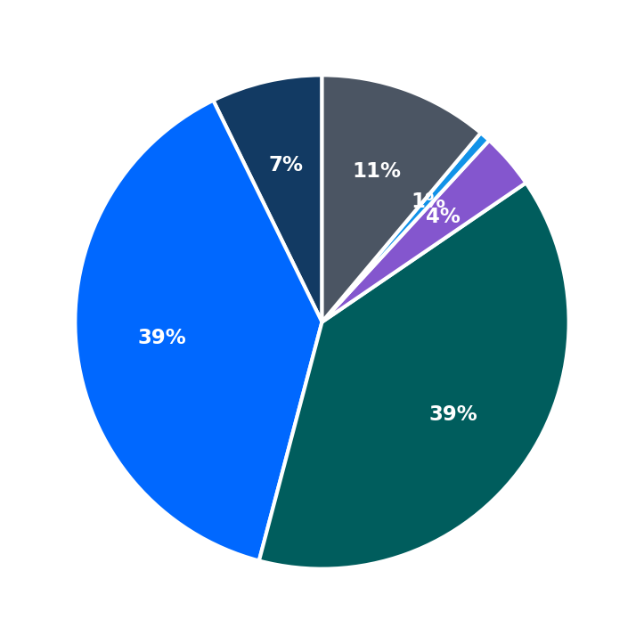 Maximum Investment Breakdown