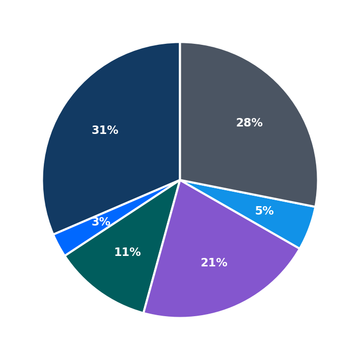 Maximum Investment Breakdown