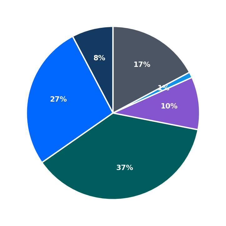 Maximum Investment Breakdown
