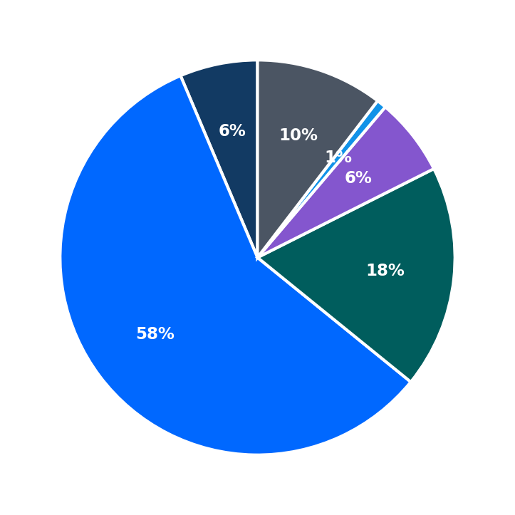 Maximum Investment Breakdown