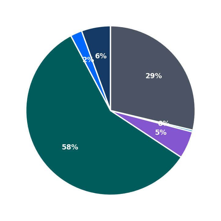 Maximum Investment Breakdown