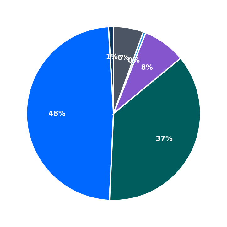 Maximum Investment Breakdown