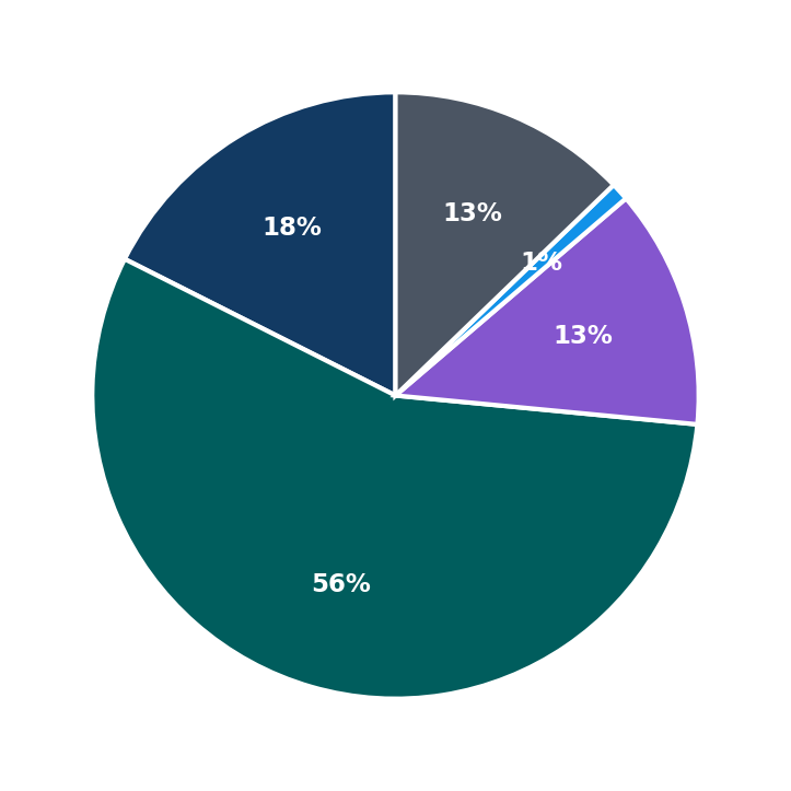 Maximum Investment Breakdown