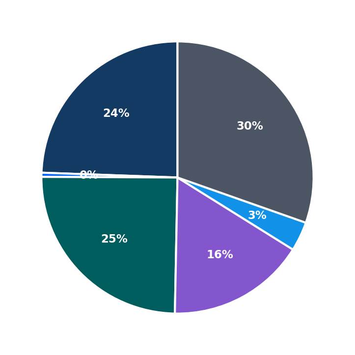 Maximum Investment Breakdown