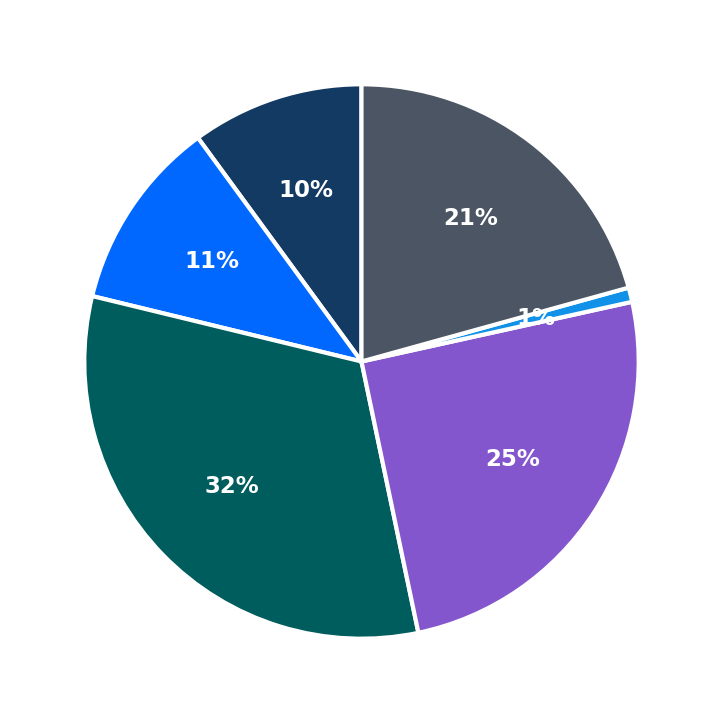 Maximum Investment Breakdown