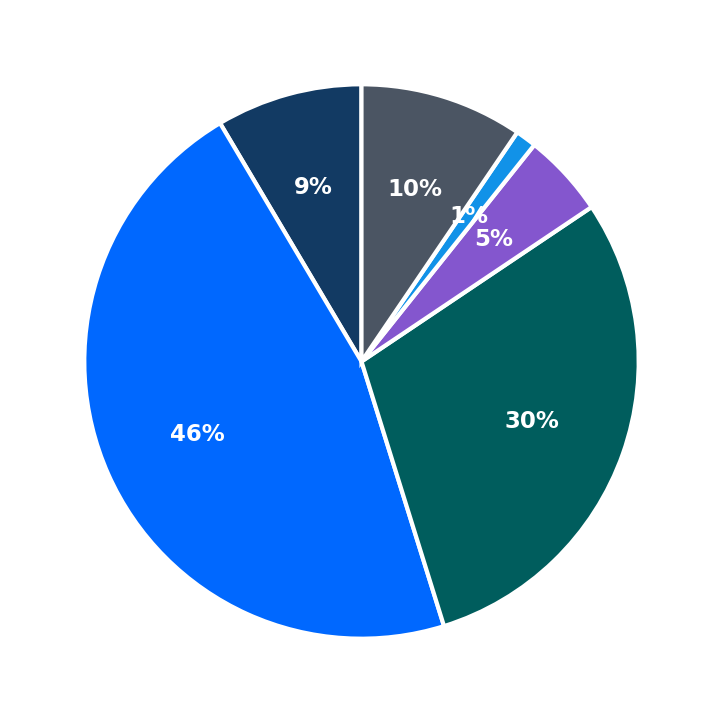 Maximum Investment Breakdown