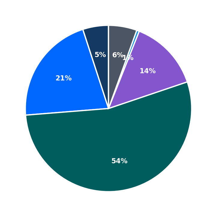 Maximum Investment Breakdown