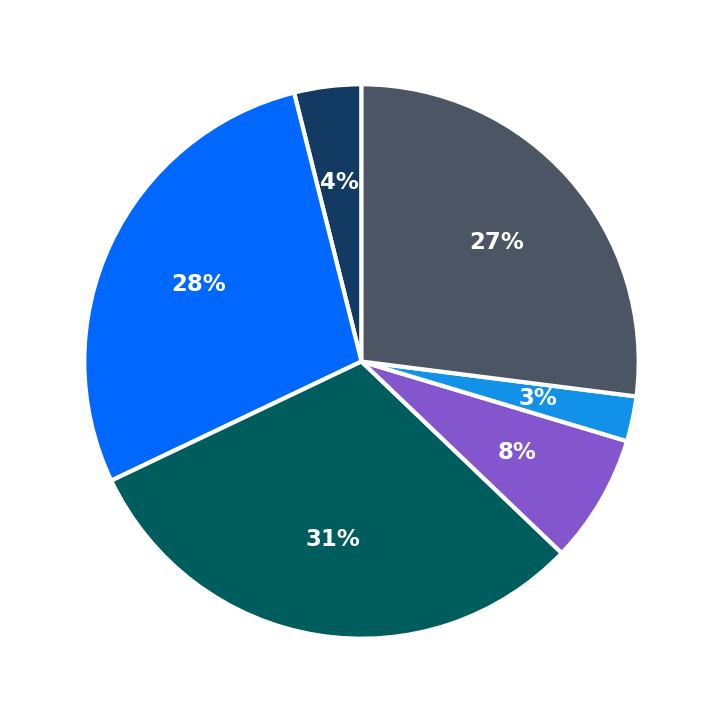 Maximum Investment Breakdown