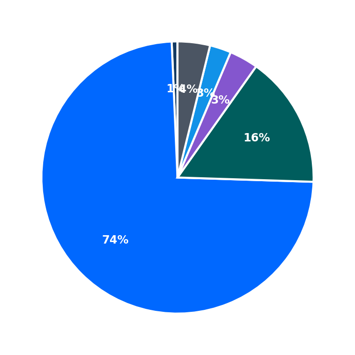 Maximum Investment Breakdown