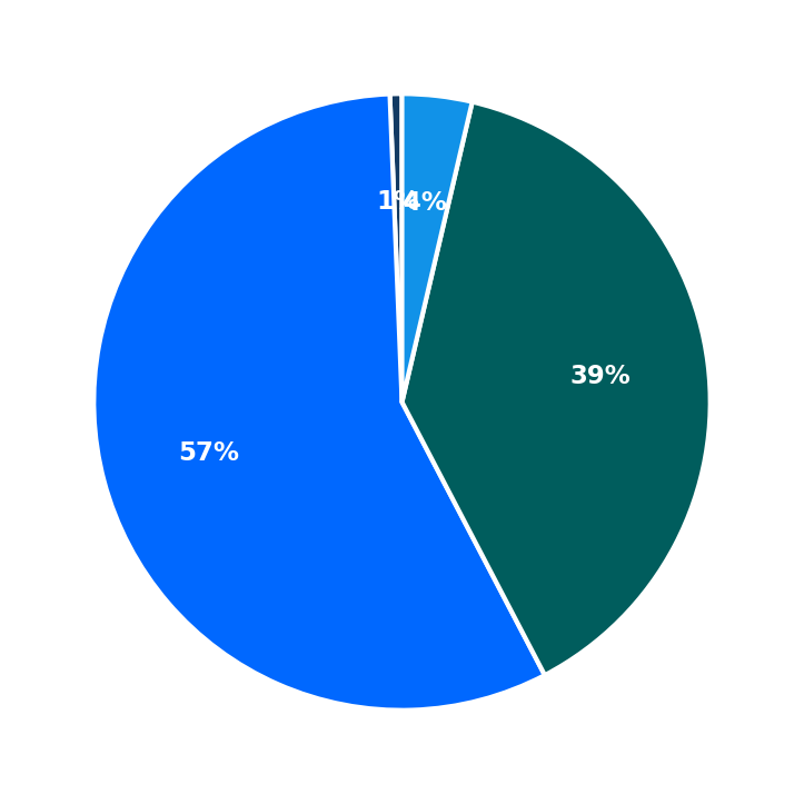 Maximum Investment Breakdown