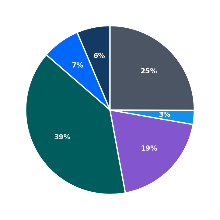 Maximum Investment Breakdown