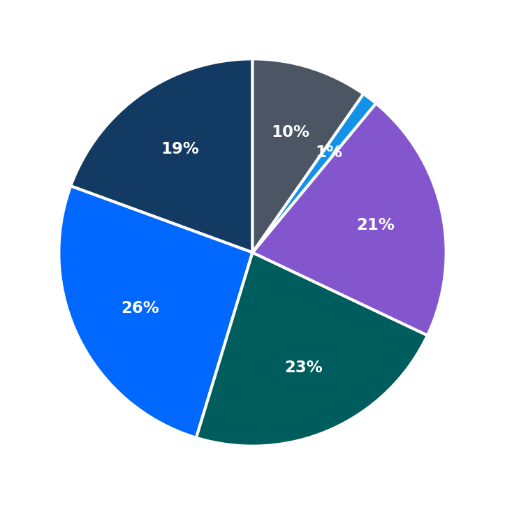 Maximum Investment Breakdown