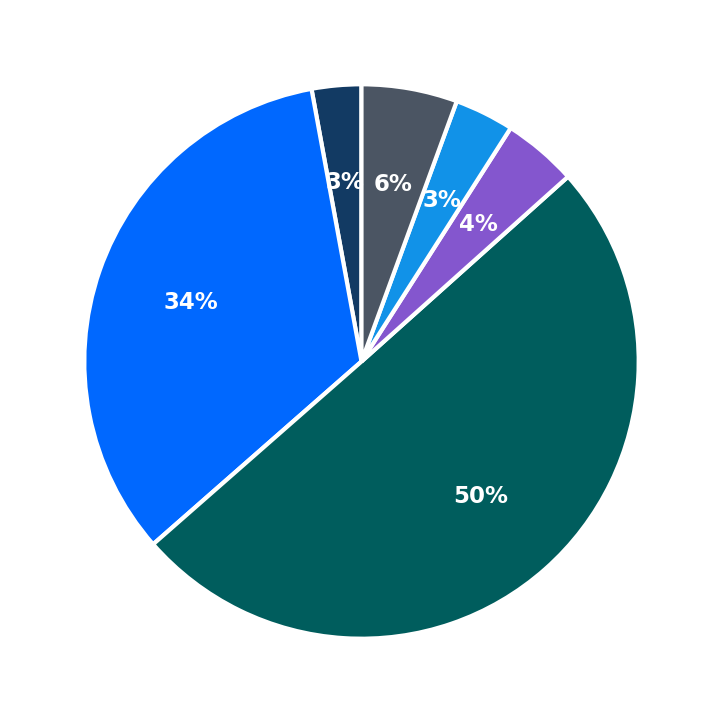 Maximum Investment Breakdown