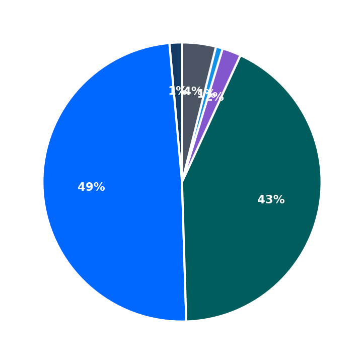 Maximum Investment Breakdown