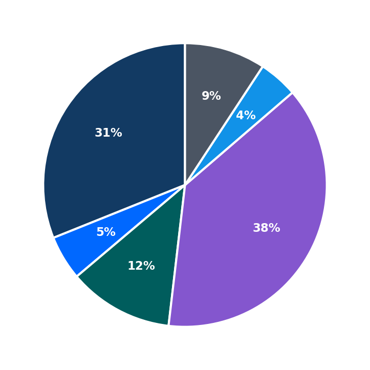 Maximum Investment Breakdown