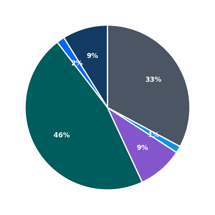 Maximum Investment Breakdown