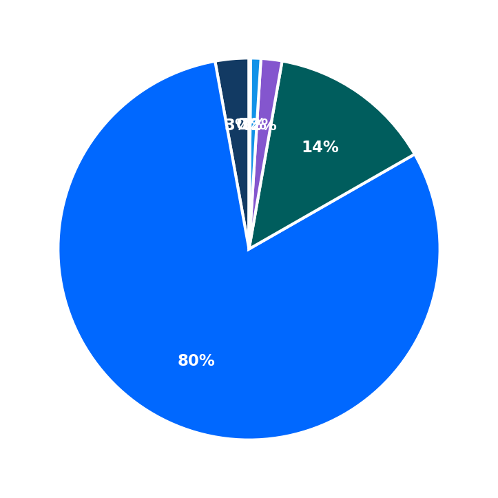 Maximum Investment Breakdown