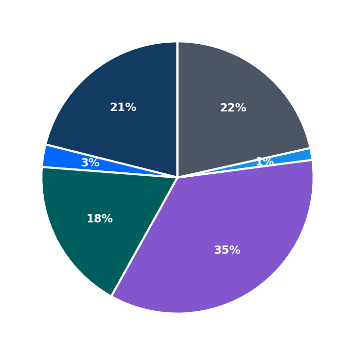 Maximum Investment Breakdown
