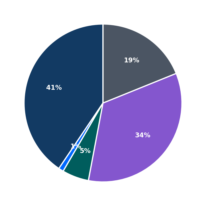 Maximum Investment Breakdown