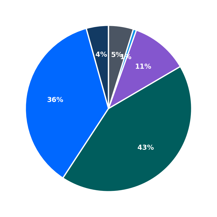 Maximum Investment Breakdown