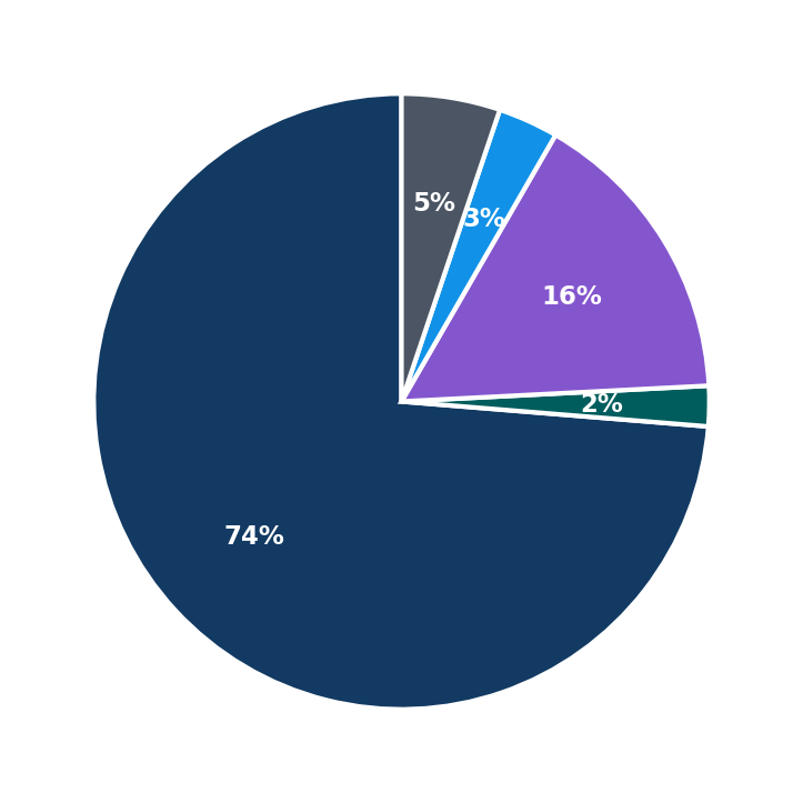Maximum Investment Breakdown