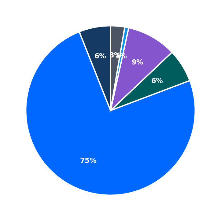 Maximum Investment Breakdown