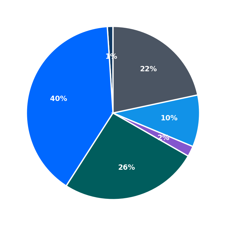 Maximum Investment Breakdown