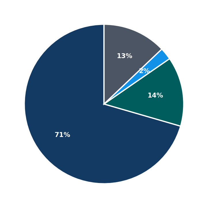 Maximum Investment Breakdown