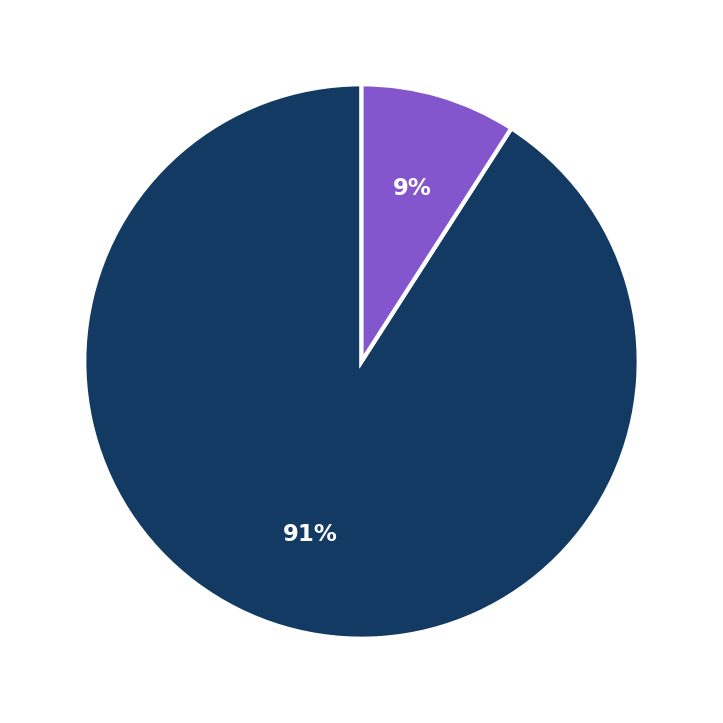 Maximum Investment Breakdown