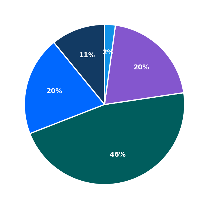 Maximum Investment Breakdown