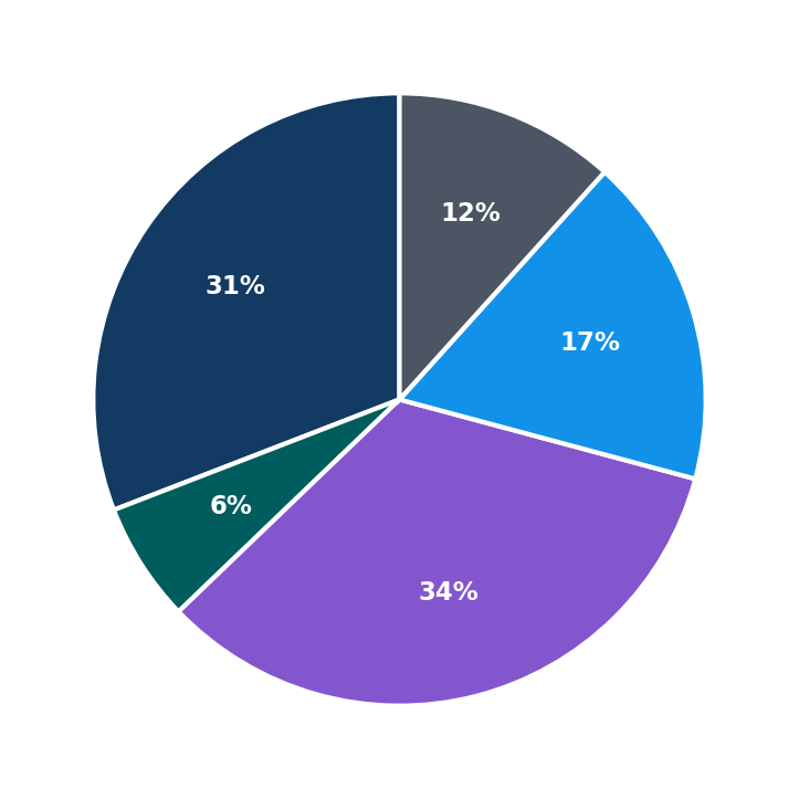 Maximum Investment Breakdown