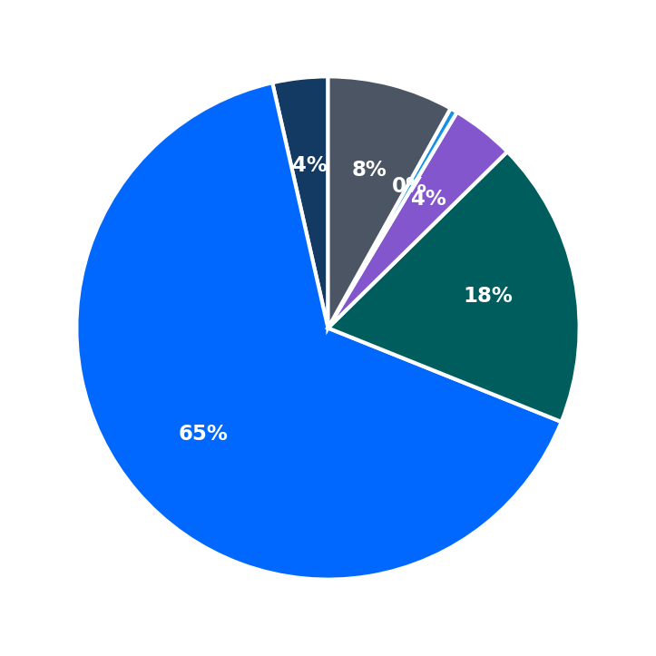Maximum Investment Breakdown
