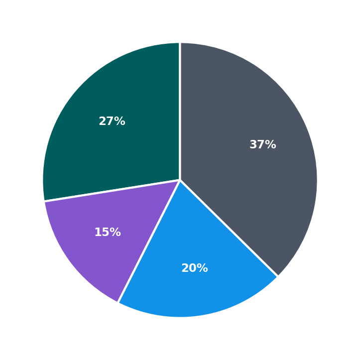 Maximum Investment Breakdown