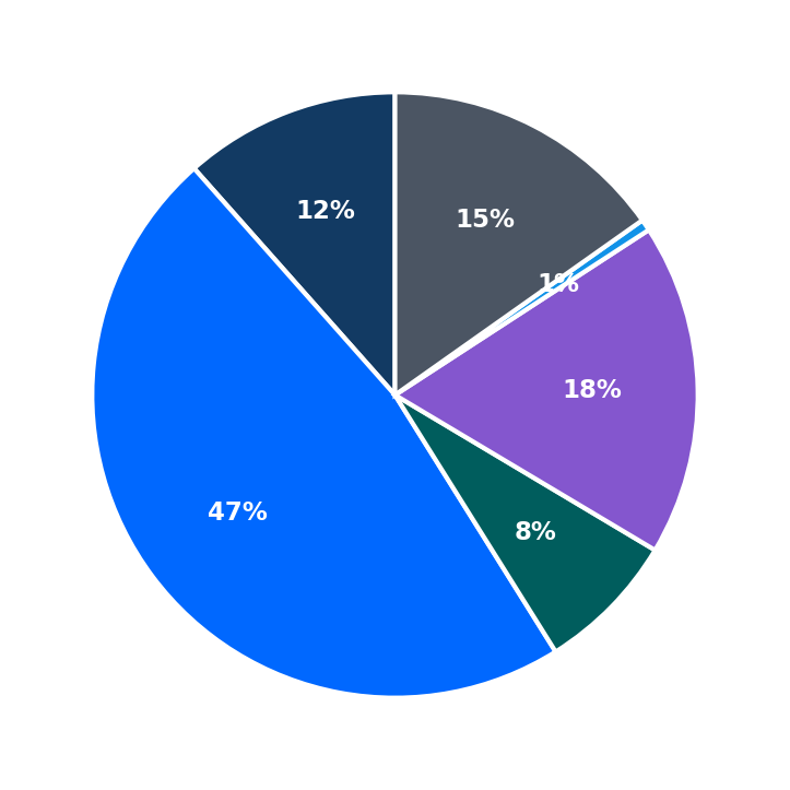 Maximum Investment Breakdown
