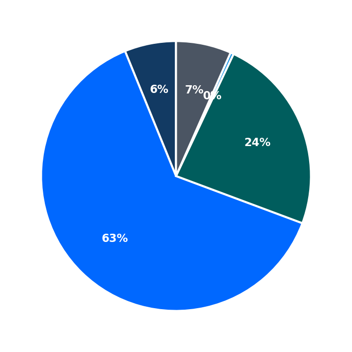 Maximum Investment Breakdown