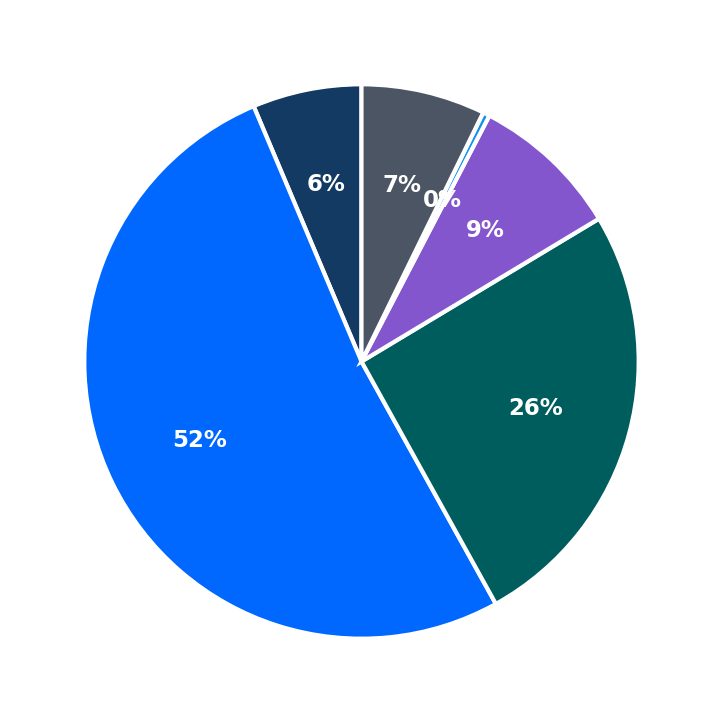 Maximum Investment Breakdown