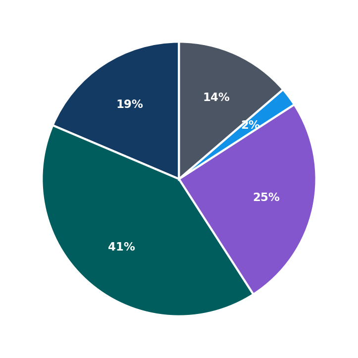 Maximum Investment Breakdown