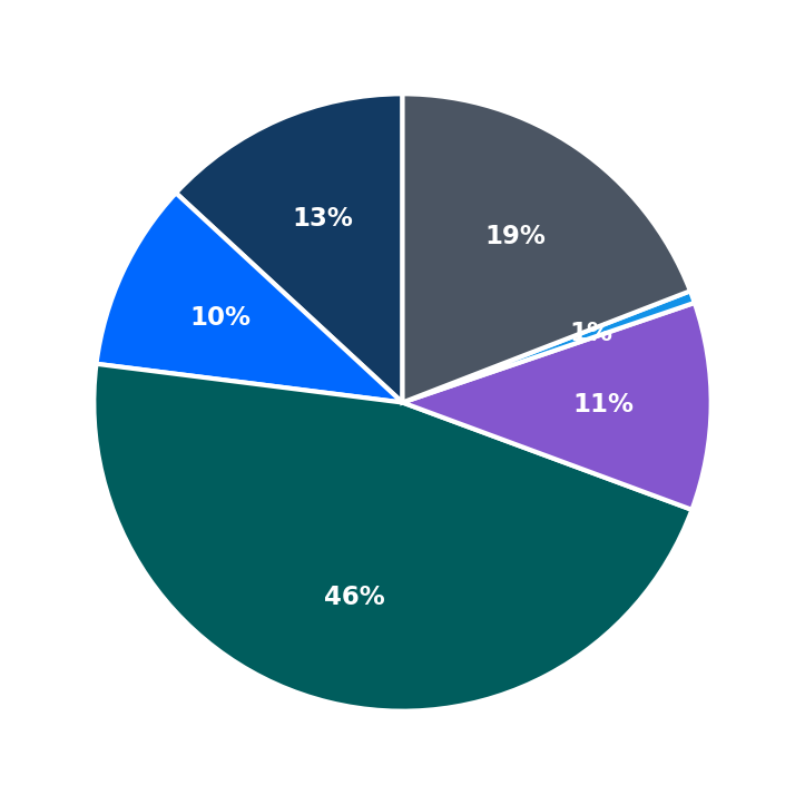 Maximum Investment Breakdown