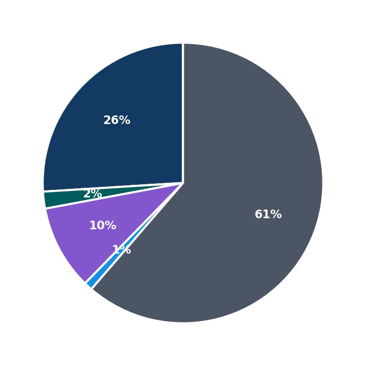 Maximum Investment Breakdown