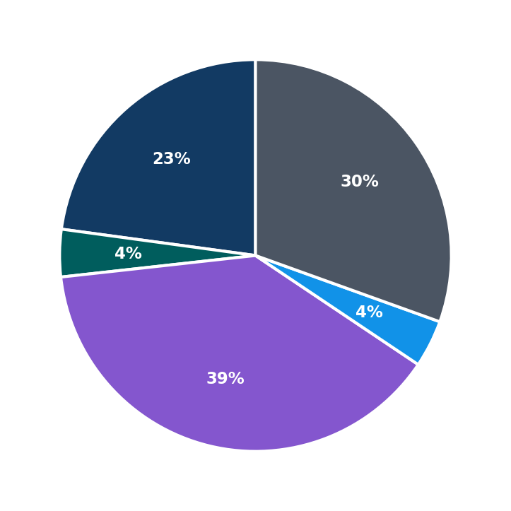 Maximum Investment Breakdown