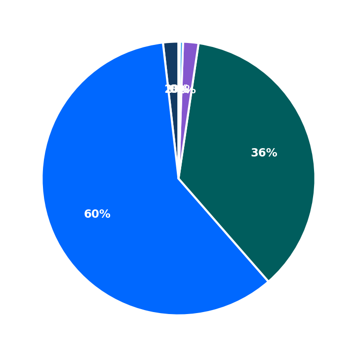 Maximum Investment Breakdown